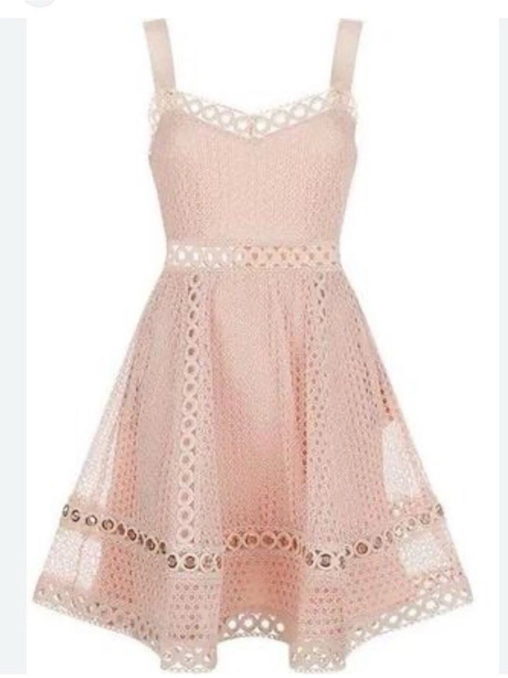 Make Ravi Nude Pink Fit Flare Lace Mini Dress, Size 1